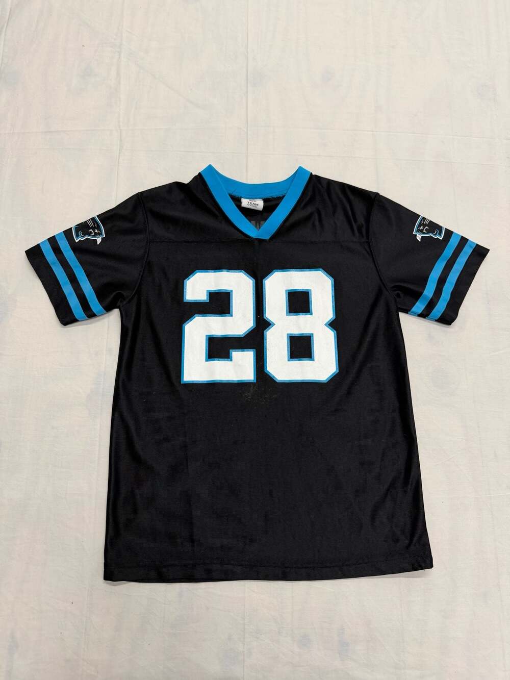 Jonathan Stewart #28 Carolina Panthers NFL Team Apparel Youth Jersey